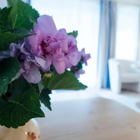 Haus Amberger Apartman